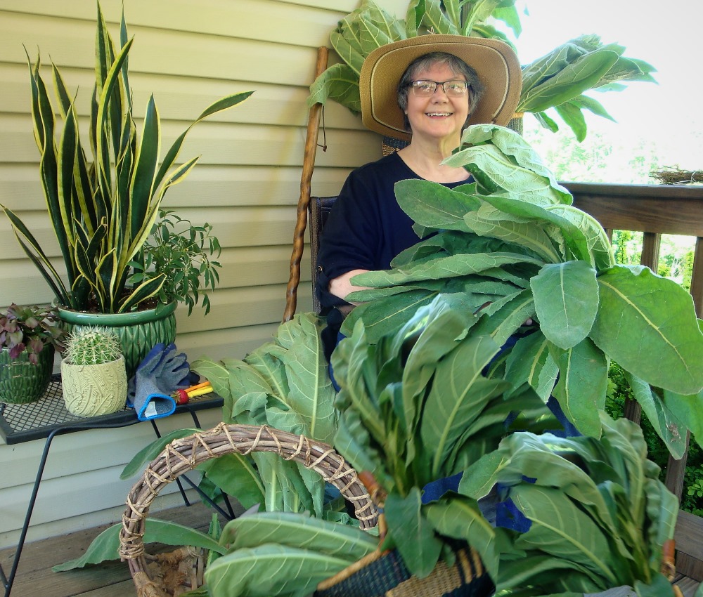 ””””””Bonnie”””””