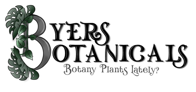 Untitled 1672 Virtual Gift Card - Image 1