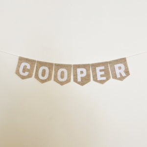 Custom Felt Banner