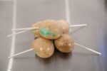 Freeze Dried Caramel Apple Pops - Image 2