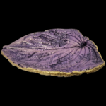 Purple Hosta Imprint Leaf Concrete Casting - Image 2