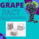 Grape Hardtack Candy - Image 3