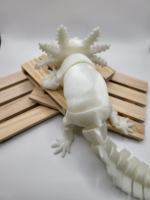 Large Articulated Axolotl - Image 4