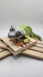 Large Articulated Crested Gecko