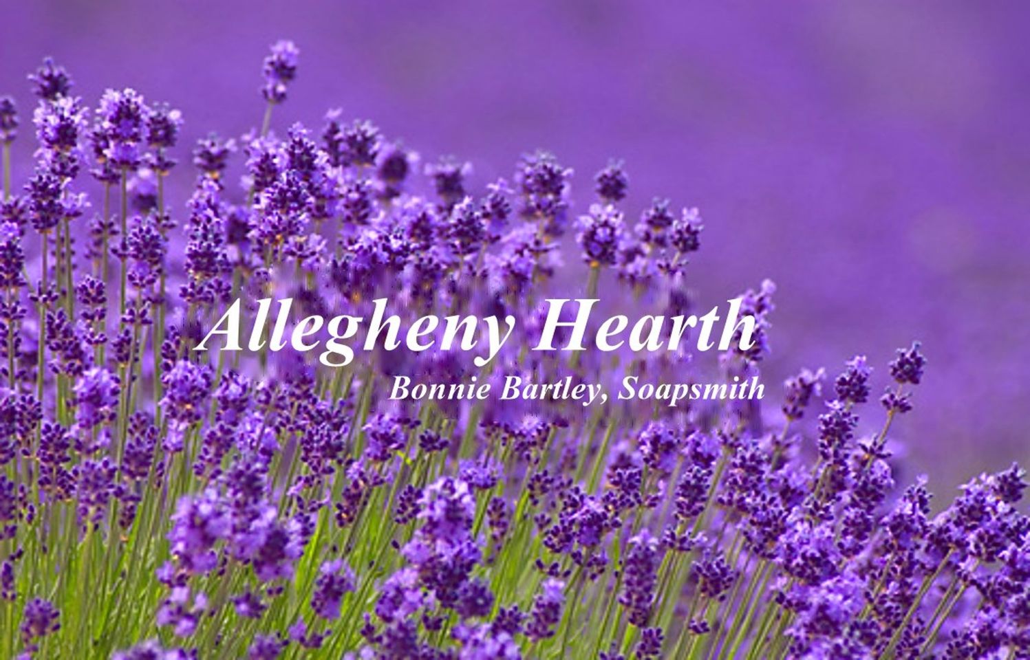 Allegheny Hearth