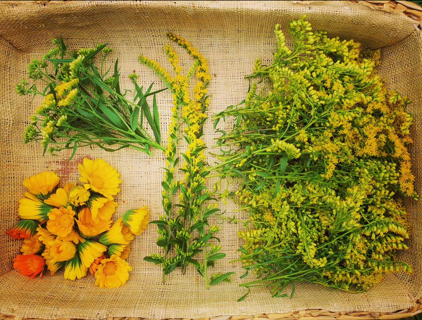 Althaea Herb Farm & Apothecary