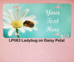Custom License Plates Ladybugs - Image 3