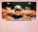 Custom License Plates Ladybugs