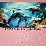Custom License Plates Dolphins