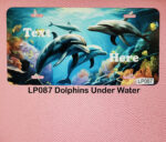 Custom License Plates Dolphins