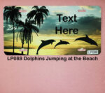Custom License Plates Dolphins - Image 2