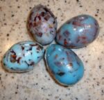 Robin's Egg Guest Soaps Speckled Set of Four Small or Set of 3 Large - Image 4