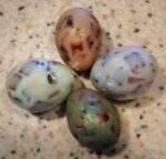 Robin's Egg Guest Soaps Speckled Set of Four Small or Set of 3 Large - Image 3