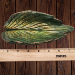 Green Hosta Leaf Concrete Casting - Image 2
