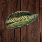 Green Hosta Leaf Concrete Casting