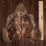 Bronze Rhubarb Leaf Concrete Casting - Image 2