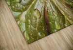 Raindrops On Mayapple High Gloss Jigsaw Puzzle - Image 2