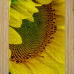 Sunflower Right High Gloss Jigsaw Puzzle
