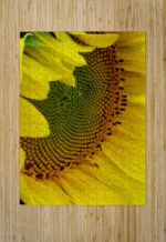 Sunflower Right High Gloss Jigsaw Puzzle
