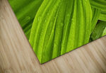 False Hellebore High Gloss Jigsaw Puzzle - Image 2