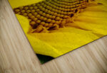 Sunflower Right High Gloss Jigsaw Puzzle - Image 2