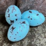 Robin's Egg Guest Soaps Speckled Set of Four Small or Set of 3 Large - Image 6