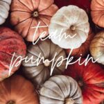 Pumpkin or Apple Mystery Boxes - Image 2