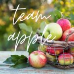 Pumpkin or Apple Mystery Boxes