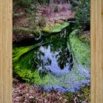 Reitz 2 AMD High Gloss Jigsaw Puzzle