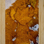 Red Maple Encased In Iron Oxide High Gloss Jigsaw Puzzle