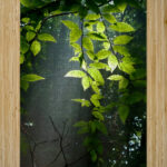 Beech Trees High Gloss Jigsaw Puzzle