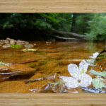 Carnahan Run High Gloss Jigsaw Puzzle