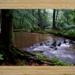 Hemlock Stream High Gloss Jigsaw Puzzle