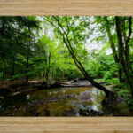 Laurel Run High Gloss Jigsaw Puzzle