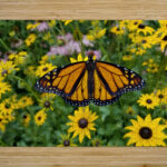 Monarch & Black Eyed Susan High Gloss Jigsaw Puzzle