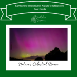 “Nature's Celestial Dance” Post Card