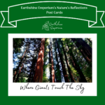 “Where Giants Touch The Sky” Post Card