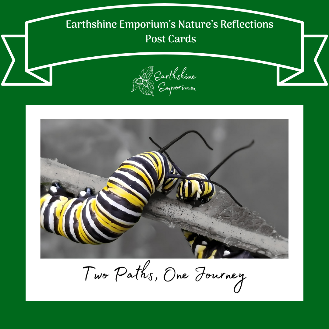 Copy of Add a subheading (5) “Two Paths, One Journey” Post Card - Image 1