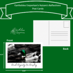 “Duck Dynasty On Display” Post Card - Image 2