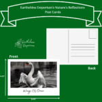 “Wings Of Grace” Post Card - Image 2