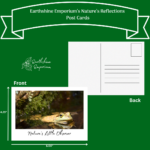 “Nature's Little Observer” Post Card - Image 2
